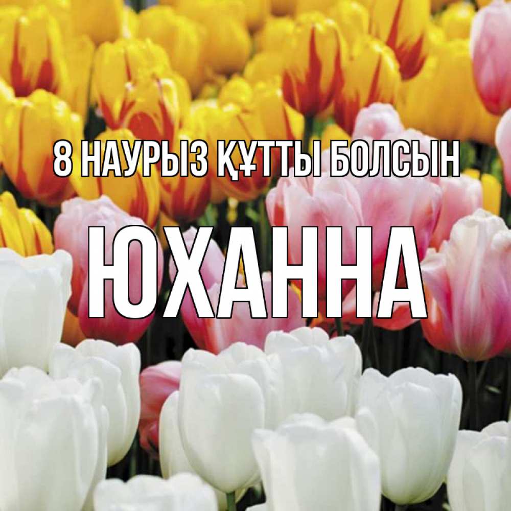 Күн сайын ашық хат с именем, Юханна 8 наурыз құтты болсын разноцветные цветы Онлайн тегін жүктеп алу тілектері бар керемет карта 