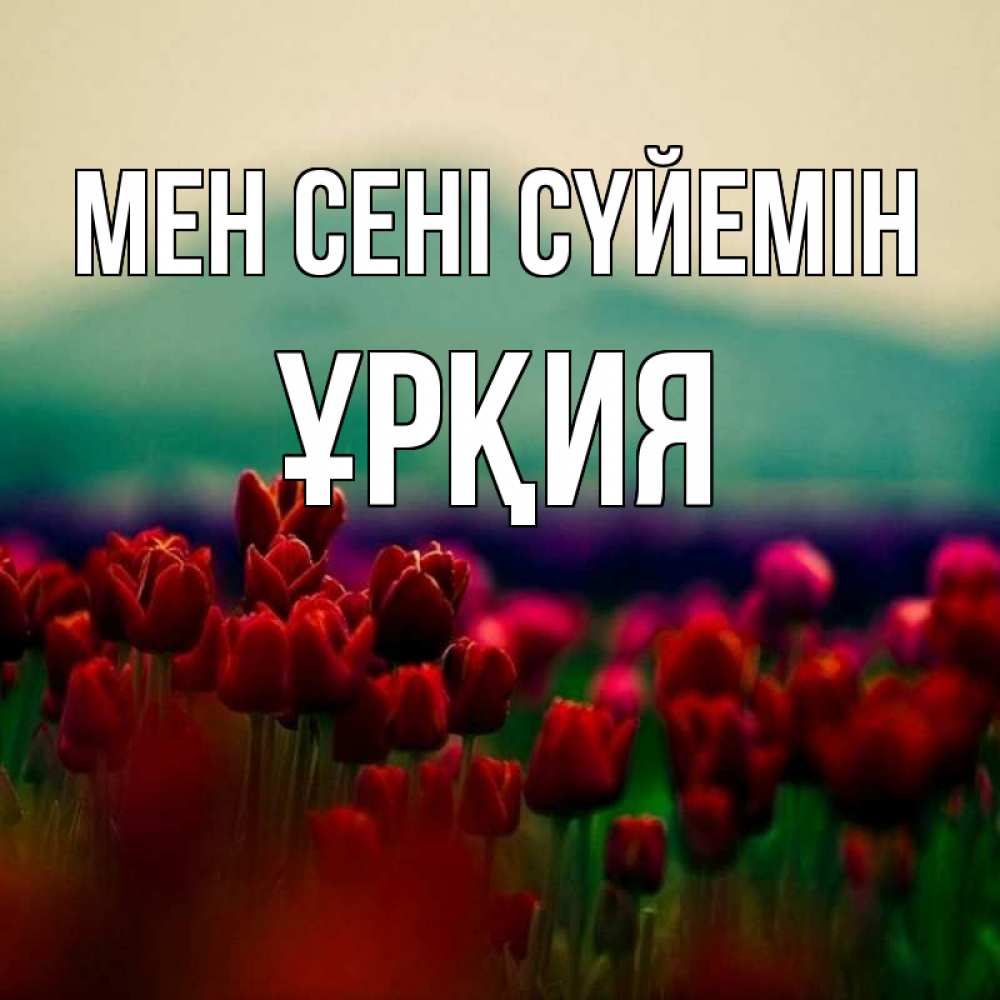 Күн сайын ашық хат с именем, ҰРҚИЯ Мен сені сүйемін тюльпаны 4 Онлайн тегін жүктеп алу тілектері бар керемет карта 
