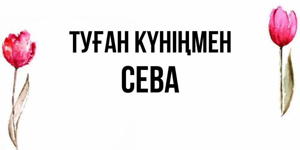 Күн сайын ашық хат с именем, Сева Туған күніңмен открытки акварелью с цветами Онлайн тегін жүктеп алу тілектері бар керемет карта 