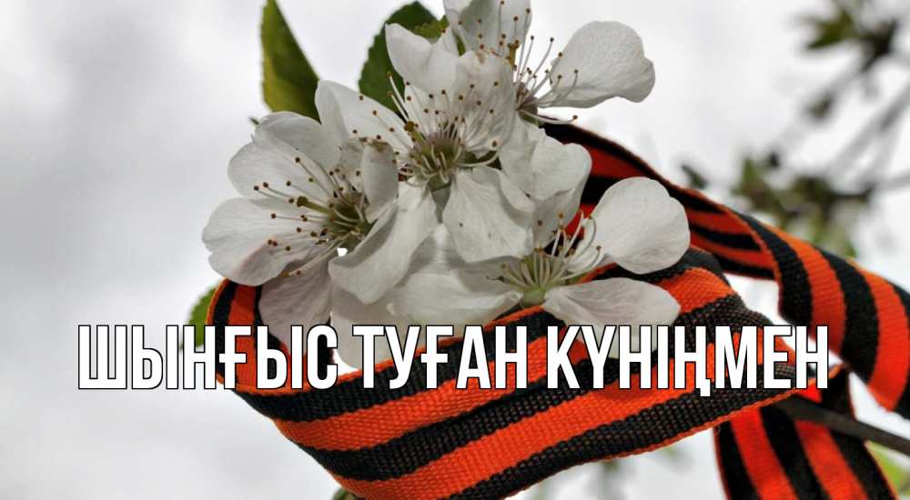 Картинка  с именем , ШЫНҒЫС! ТУҒАН КҮНІҢМЕН!