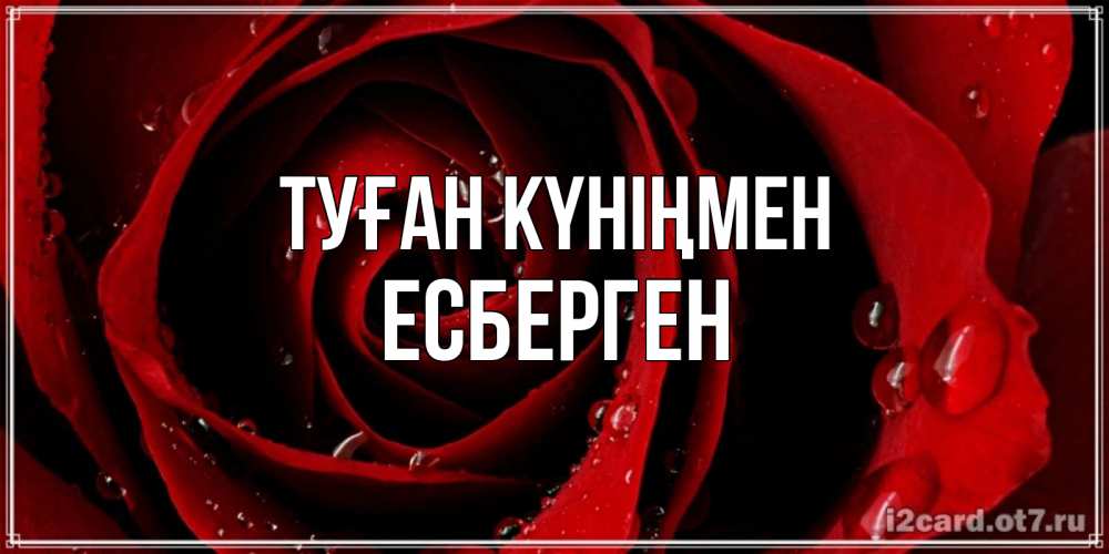 Күн сайын ашық хат с именем, Есберген Туған күніңмен крупная бордовая роза Онлайн тегін жүктеп алу тілектері бар керемет карта 