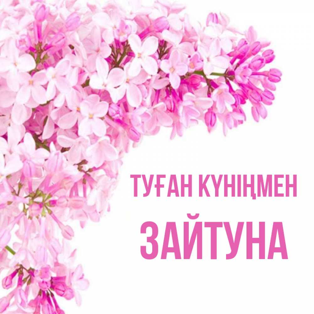 Күн сайын ашық хат с именем, ЗАЙТУНА Туған күніңмен Сирень на белом фоне Онлайн тегін жүктеп алу тілектері бар керемет карта 