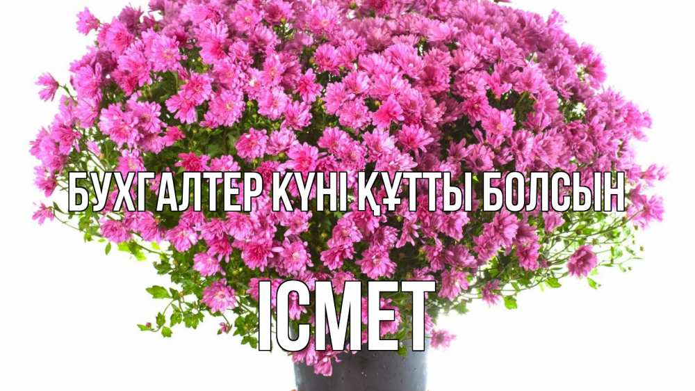 Күн сайын ашық хат с именем, ІСМЕТ бухгалтер күні құтты болсын с днем бухгалтера Онлайн тегін жүктеп алу тілектері бар керемет карта 