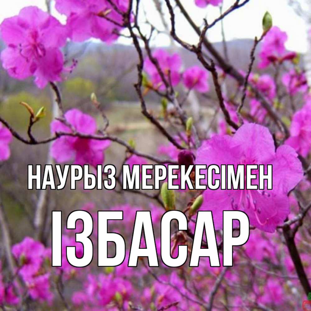 Күн сайын ашық хат с именем, Ізбасар Наурыз мерекесімен праздник весны наурыз Онлайн тегін жүктеп алу тілектері бар керемет карта 