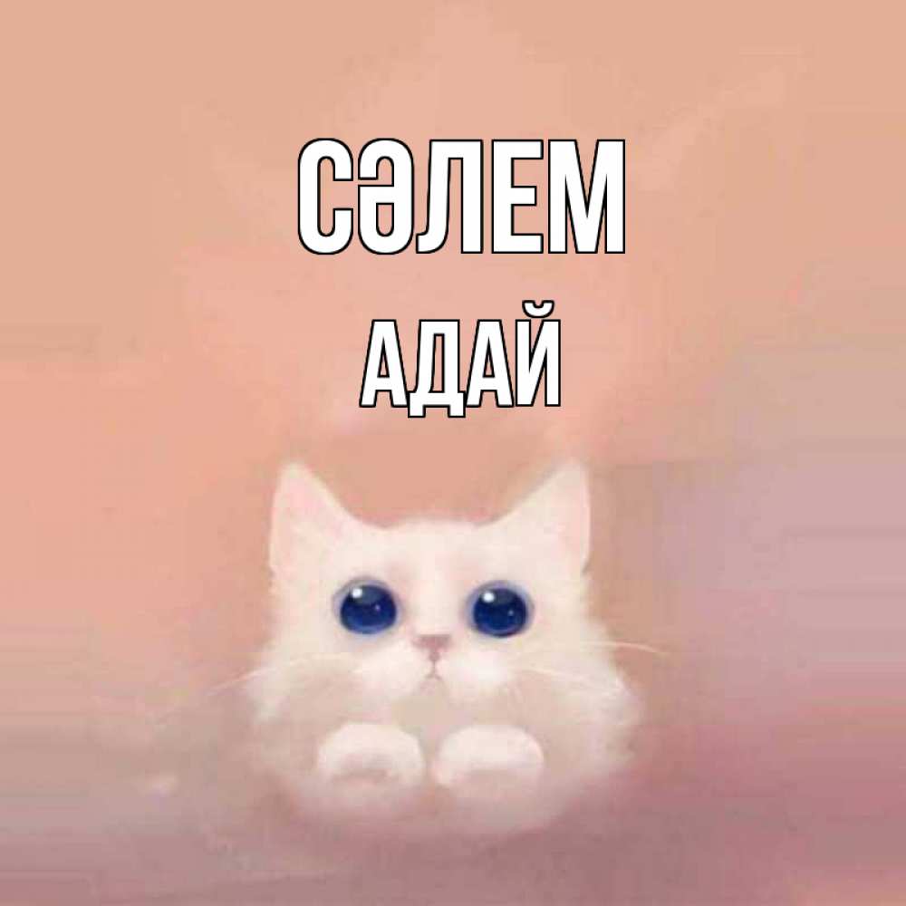 Күн сайын ашық хат с именем, Адай Сәлем котик белый в полете Онлайн тегін жүктеп алу тілектері бар керемет карта 