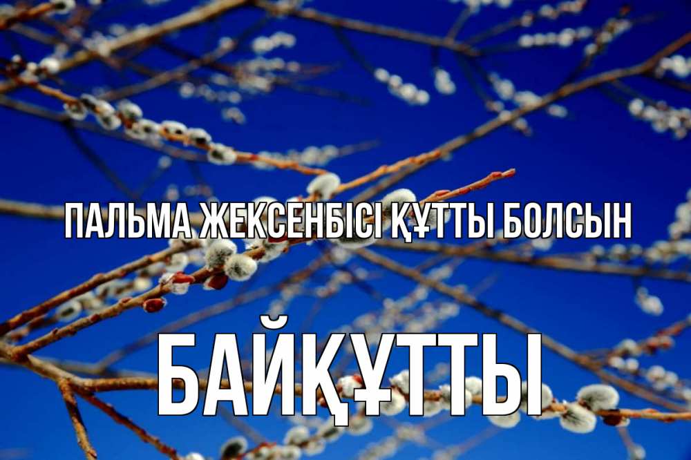 Күн сайын ашық хат с именем, Байқұтты Пальма жексенбісі құтты болсын верба Онлайн тегін жүктеп алу тілектері бар керемет карта 