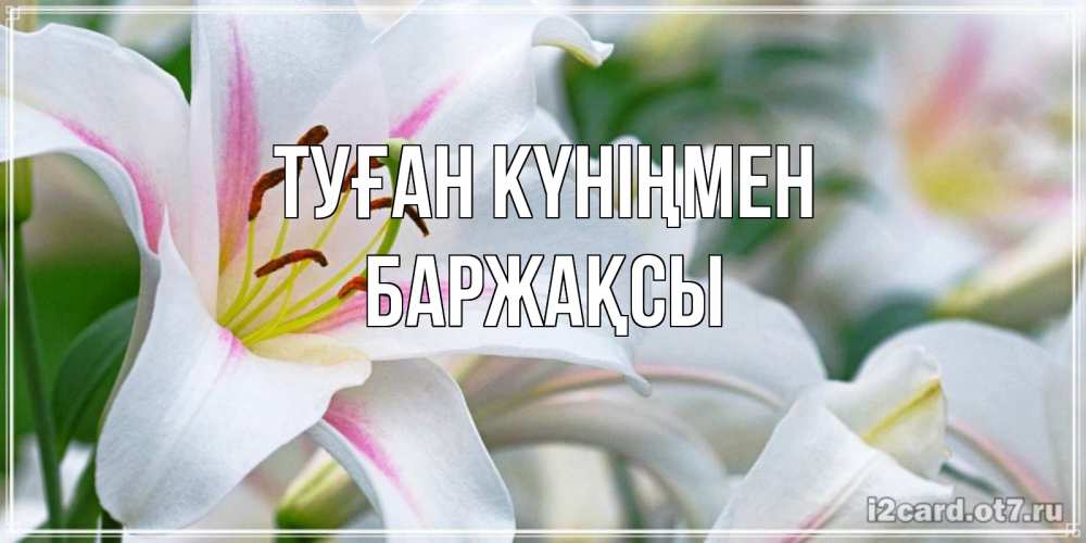 Күн сайын ашық хат с именем, Баржақсы Туған күніңмен открытка с белой лилией Онлайн тегін жүктеп алу тілектері бар керемет карта 