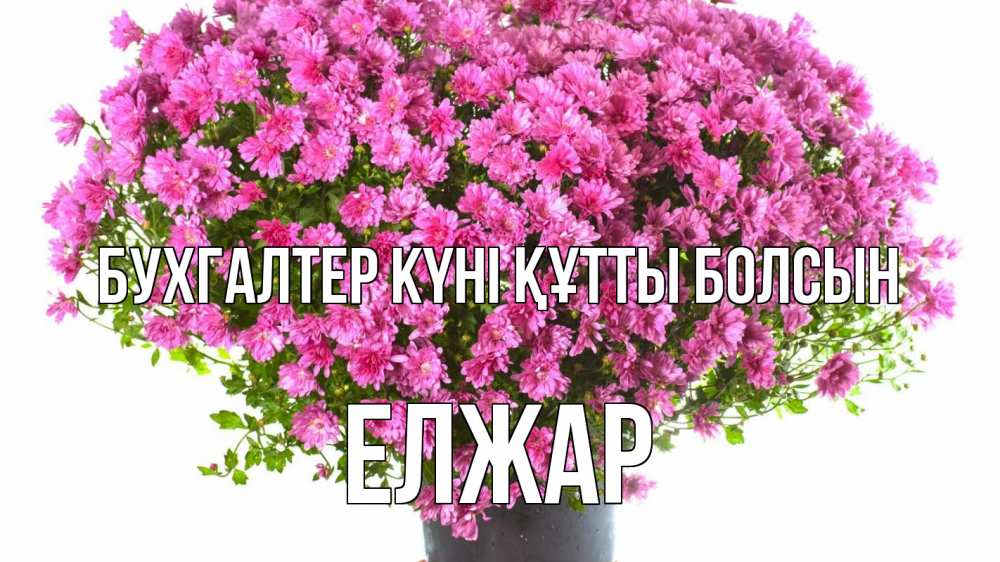 Күн сайын ашық хат с именем, Елжар бухгалтер күні құтты болсын с днем бухгалтера Онлайн тегін жүктеп алу тілектері бар керемет карта 