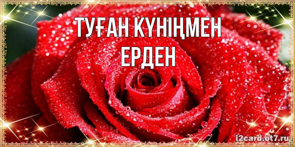 Күн сайын ашық хат с именем, Ерден Туған күніңмен роса и роза. открытка с красивой розой Онлайн тегін жүктеп алу тілектері бар керемет карта 