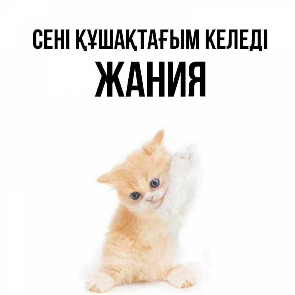 Күн сайын ашық хат с именем, ЖАНИЯ сені құшақтағым келеді я хочу очень скорее обнимаешек Онлайн тегін жүктеп алу тілектері бар керемет карта 