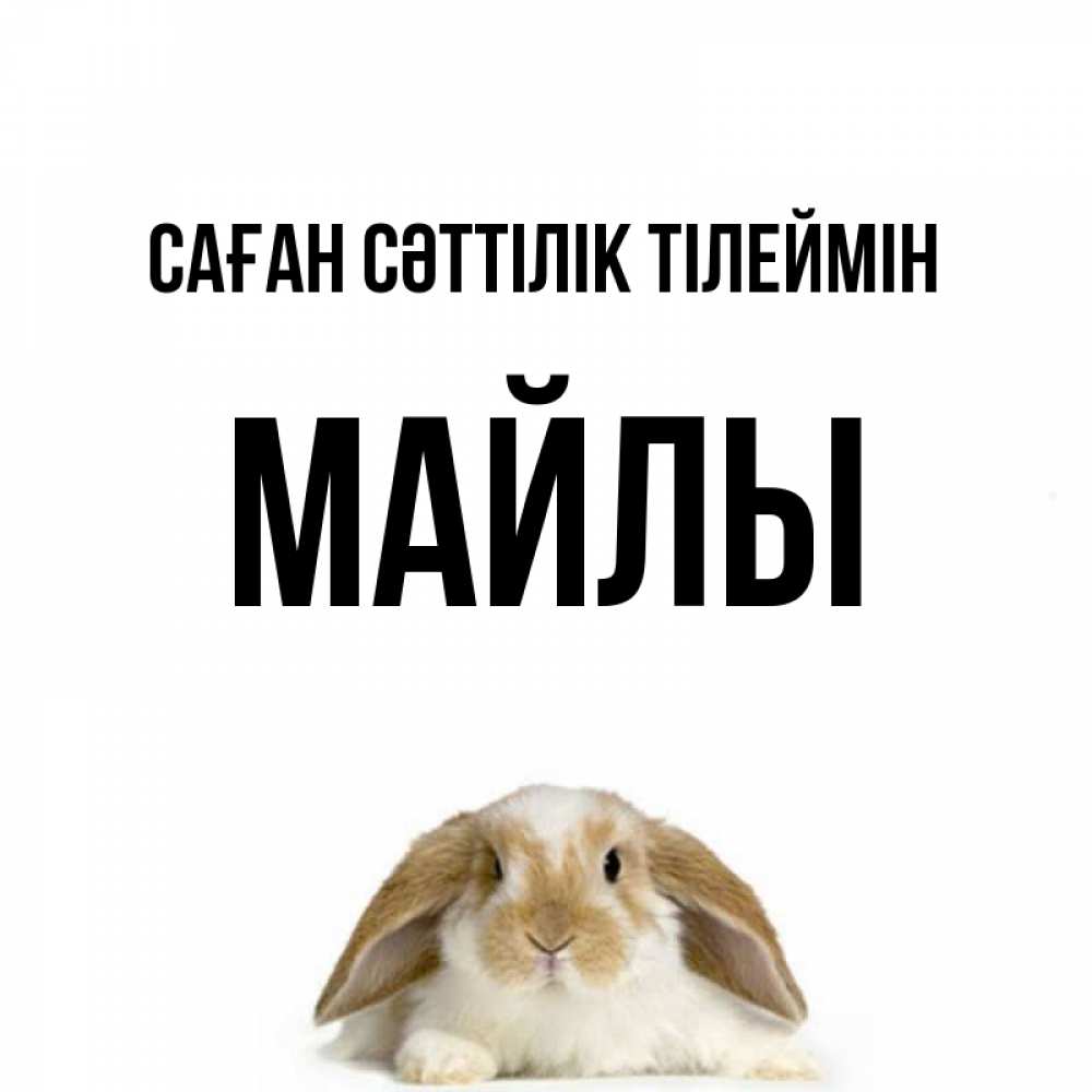 Күн сайын ашық хат с именем, МАЙЛЫ Саған сәттілік тілеймін открытки с произвольным текстом который можно вставить в открытку и создать ее самостоятельно бесплатно онлайн Онлайн тегін жүктеп алу тілектері бар керемет карта 