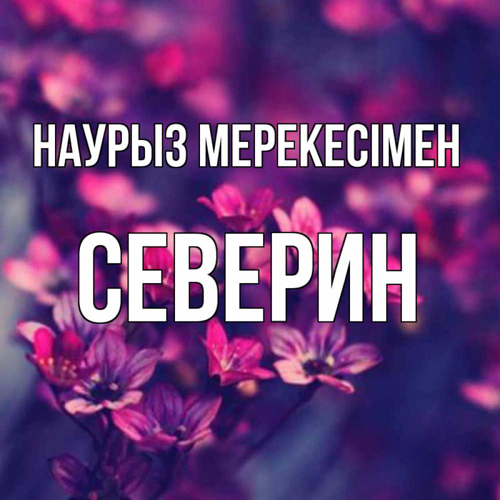 Күн сайын ашық хат с именем, Северин Наурыз мерекесімен небольшие цветы 1 Онлайн тегін жүктеп алу тілектері бар керемет карта 