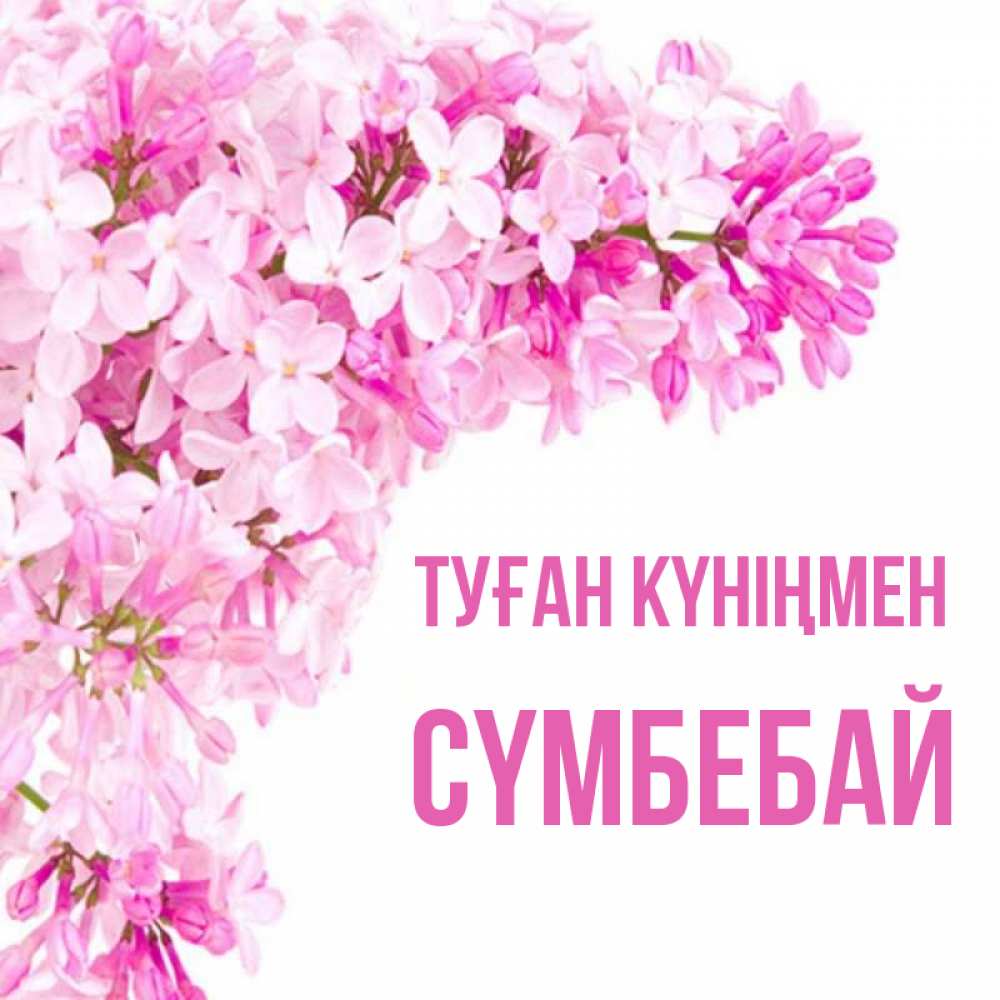 Күн сайын ашық хат с именем, СҮМБЕБАЙ Туған күніңмен Сирень на белом фоне Онлайн тегін жүктеп алу тілектері бар керемет карта 