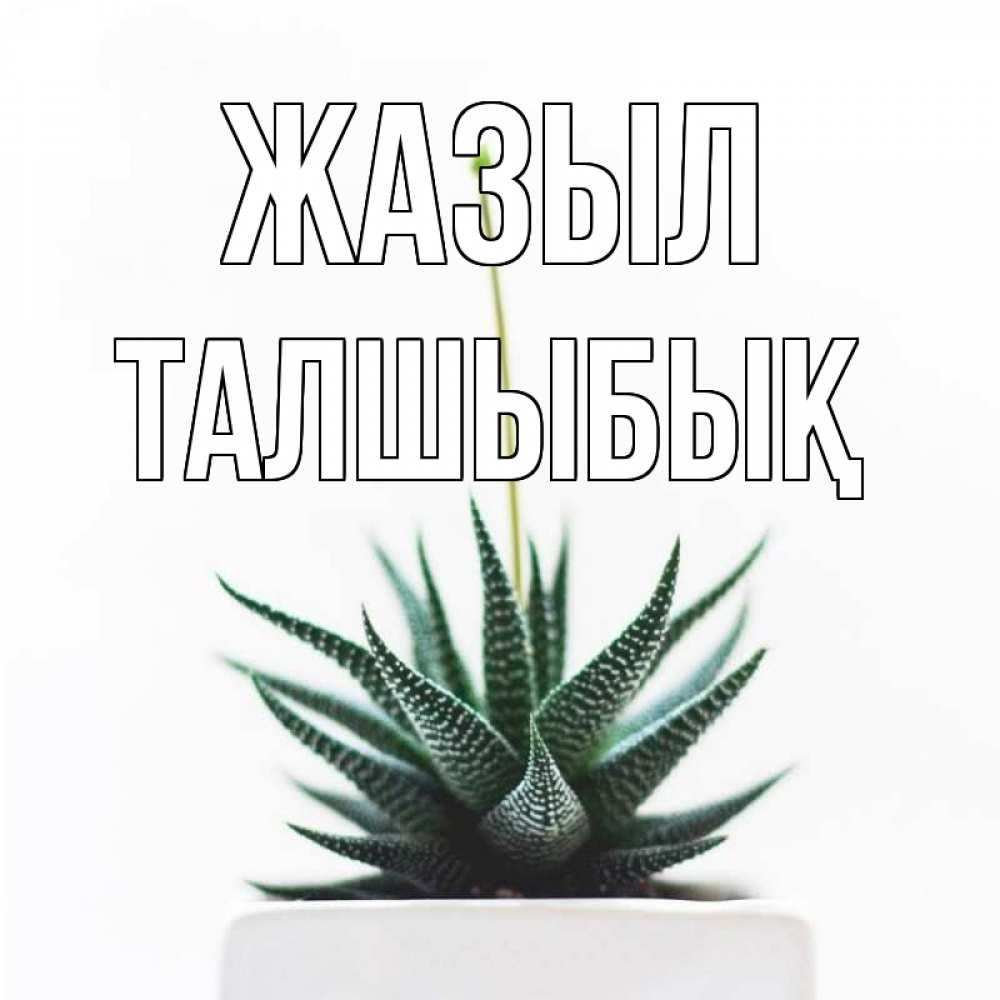 Күн сайын ашық хат с именем, ТАЛШЫБЫҚ Жазыл короче это непонятная колючка Онлайн тегін жүктеп алу тілектері бар керемет карта 