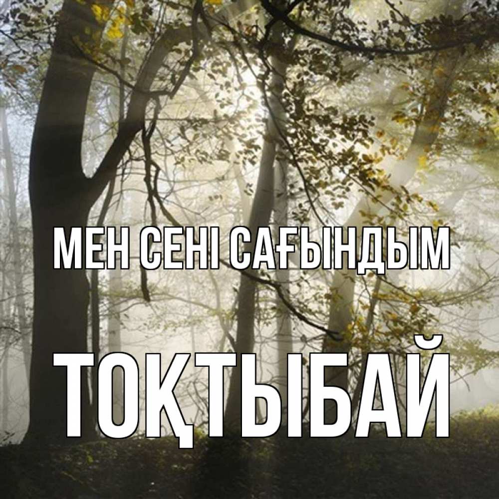 Күн сайын ашық хат с именем, ТОҚТЫБАЙ Мен сені сағындым грустно Онлайн тегін жүктеп алу тілектері бар керемет карта 