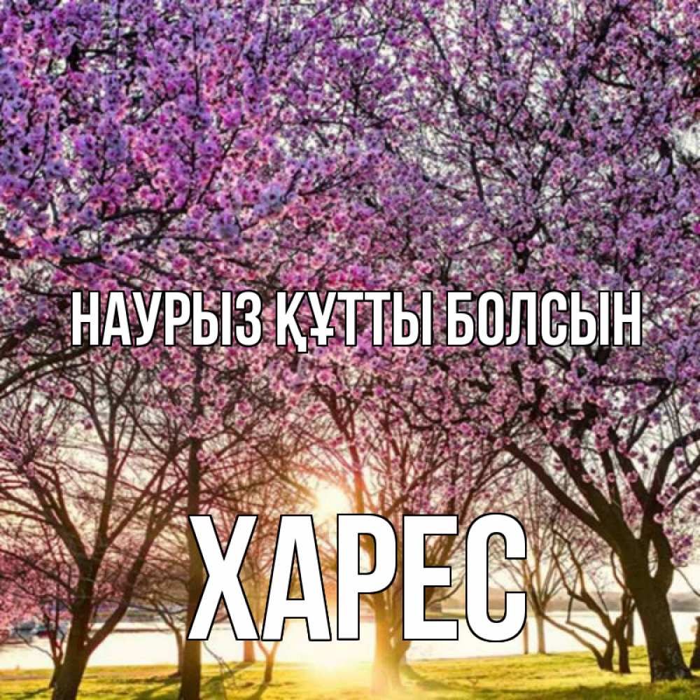 Күн сайын ашық хат с именем, ХАРЕС Наурыз құтты болсын наурыз Онлайн тегін жүктеп алу тілектері бар керемет карта 