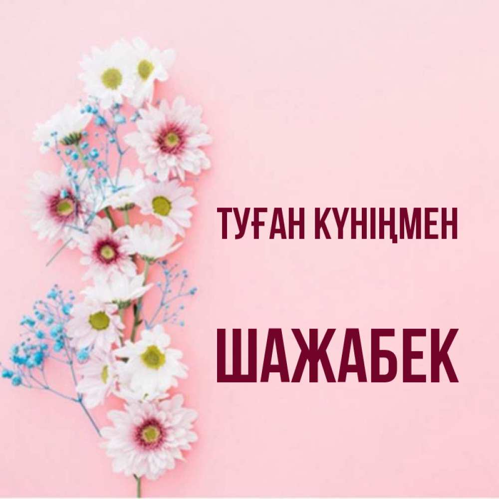 Күн сайын ашық хат с именем, ШАЖАБЕК Туған күніңмен Родная моя с днем рождения тебя картинка с цветами белыми и голубыми Онлайн тегін жүктеп алу тілектері бар керемет карта 