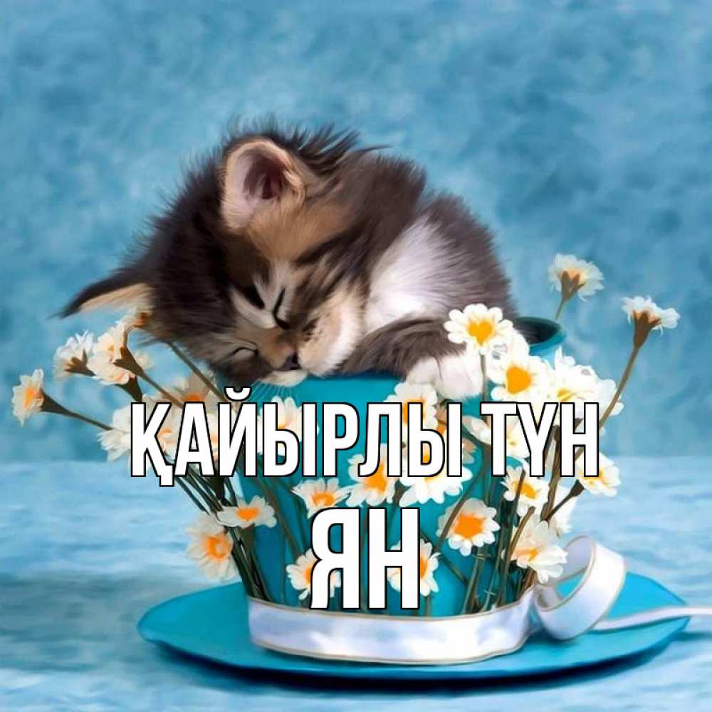 Күн сайын ашық хат с именем, Ян Қайырлы түн котенок спит в кружке с блюдцем Онлайн тегін жүктеп алу тілектері бар керемет карта 