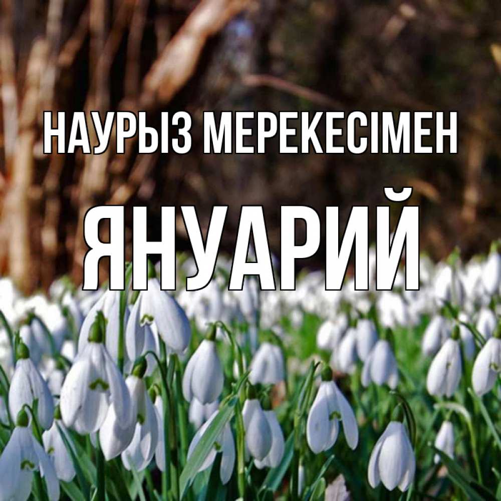 Күн сайын ашық хат с именем, Януарий Наурыз мерекесімен с подснежниками 1 Онлайн тегін жүктеп алу тілектері бар керемет карта 