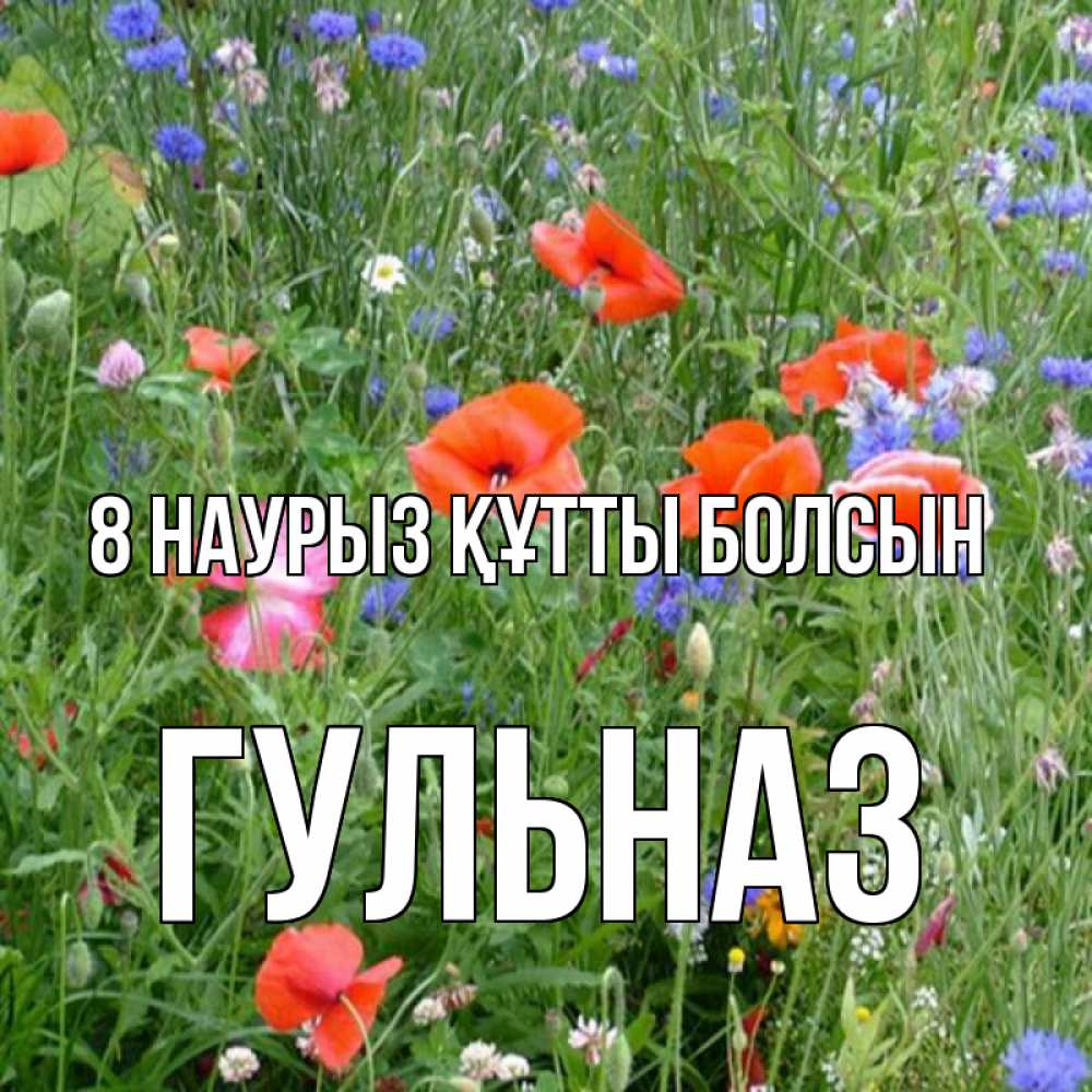Күн сайын ашық хат с именем, Гульназ 8 наурыз құтты болсын международный женский день 4 Онлайн тегін жүктеп алу тілектері бар керемет карта 