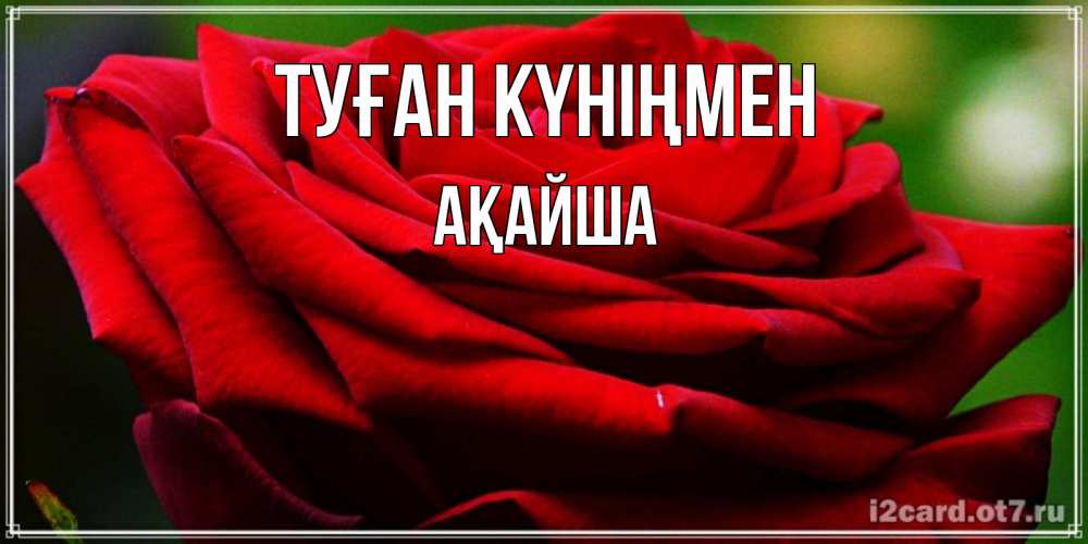 Күн сайын ашық хат с именем, АҚАЙША Туған күніңмен розочка очень красивая Онлайн тегін жүктеп алу тілектері бар керемет карта 