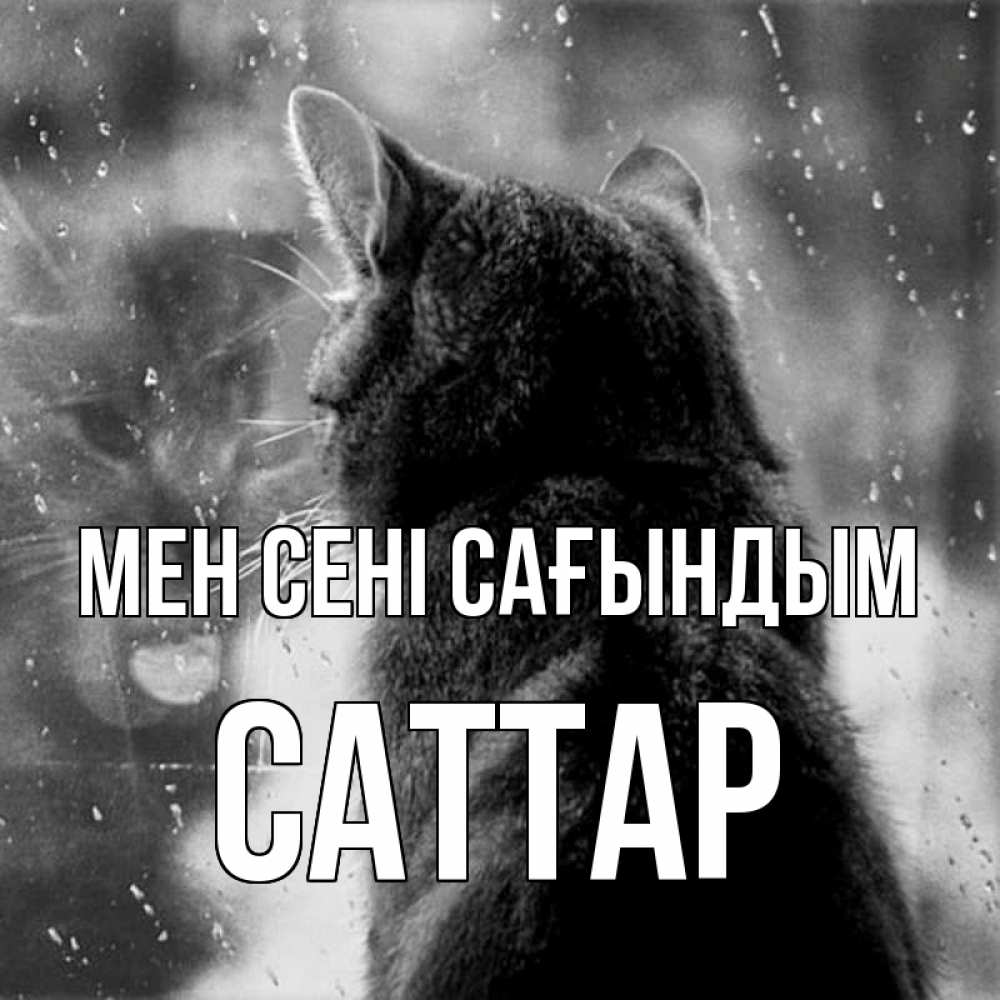 Күн сайын ашық хат с именем, САТТАР Мен сені сағындым скорее ко мне приходи 1 Онлайн тегін жүктеп алу тілектері бар керемет карта 