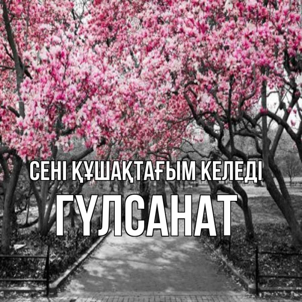 Күн сайын ашық хат с именем, ГҮЛСАНАТ сені құшақтағым келеді обработанное фото Онлайн тегін жүктеп алу тілектері бар керемет карта 