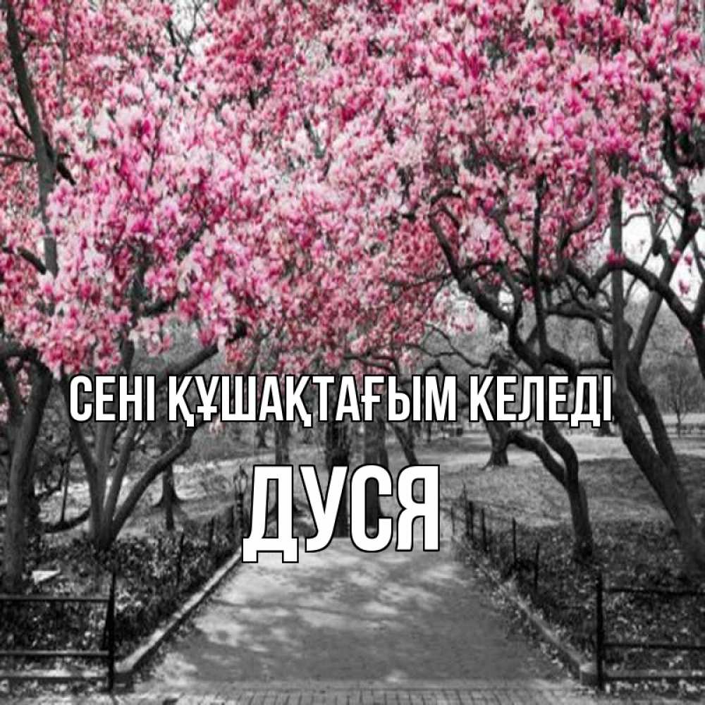 Күн сайын ашық хат с именем, Дуся сені құшақтағым келеді обработанное фото Онлайн тегін жүктеп алу тілектері бар керемет карта 