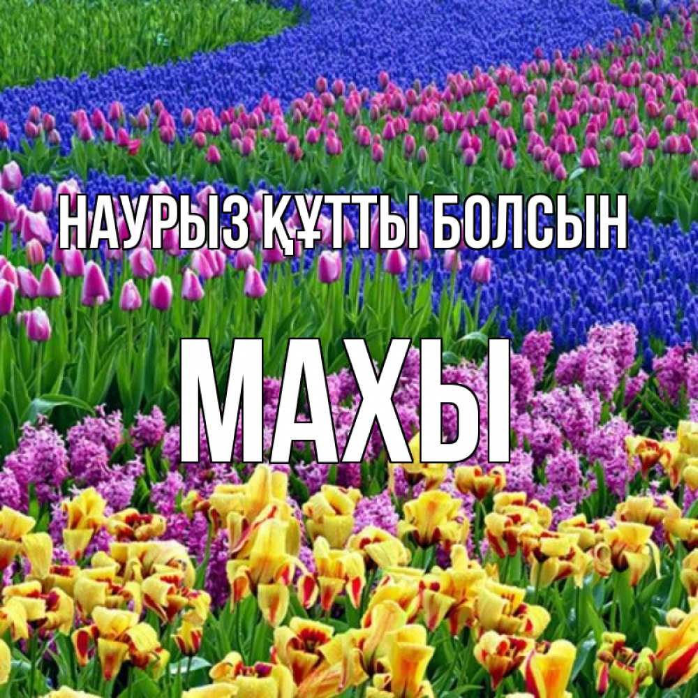 Күн сайын ашық хат с именем, МАХЫ Наурыз құтты болсын цветы Онлайн тегін жүктеп алу тілектері бар керемет карта 
