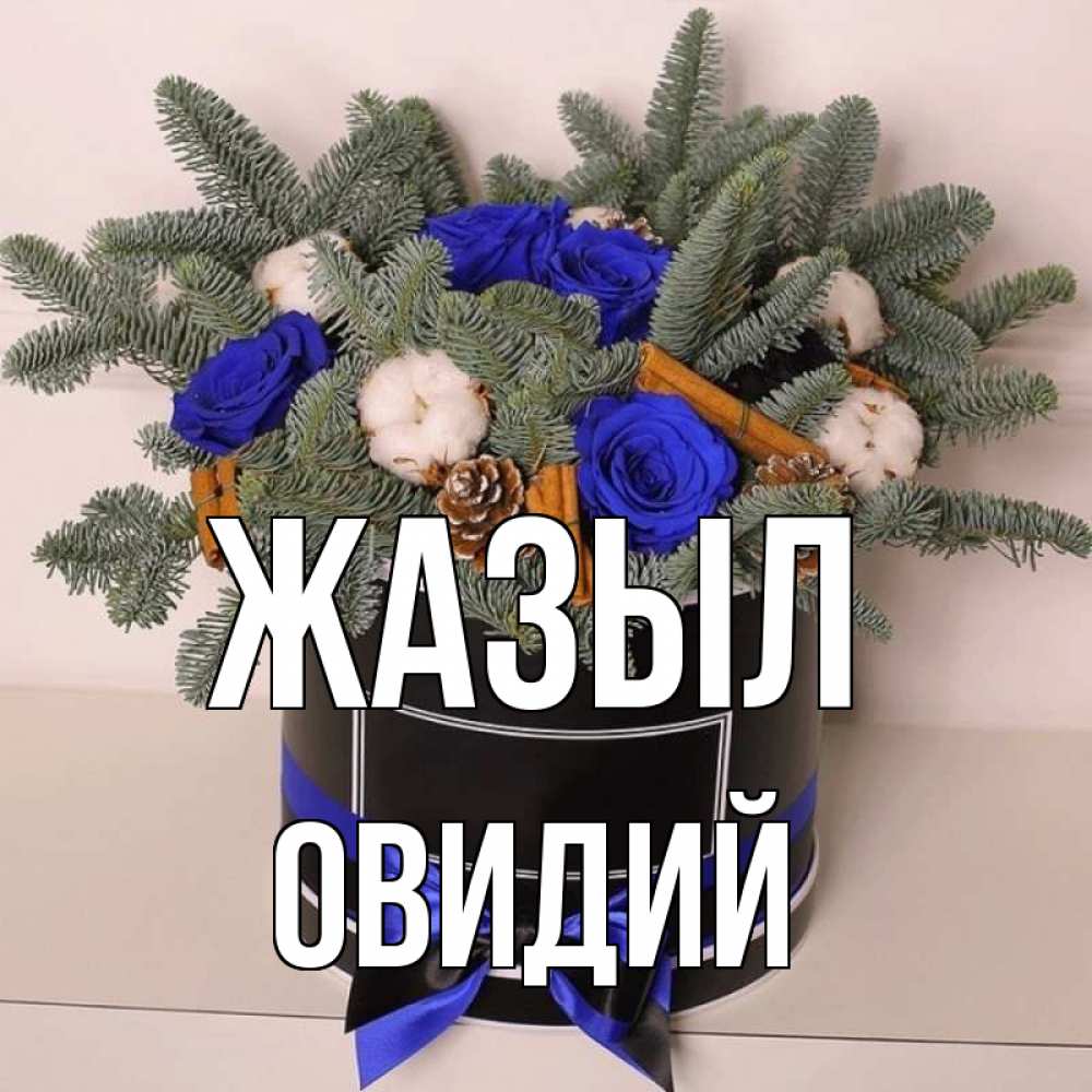 Күн сайын ашық хат с именем, Овидий Жазыл короче кто то загрузил эти шишки Онлайн тегін жүктеп алу тілектері бар керемет карта 