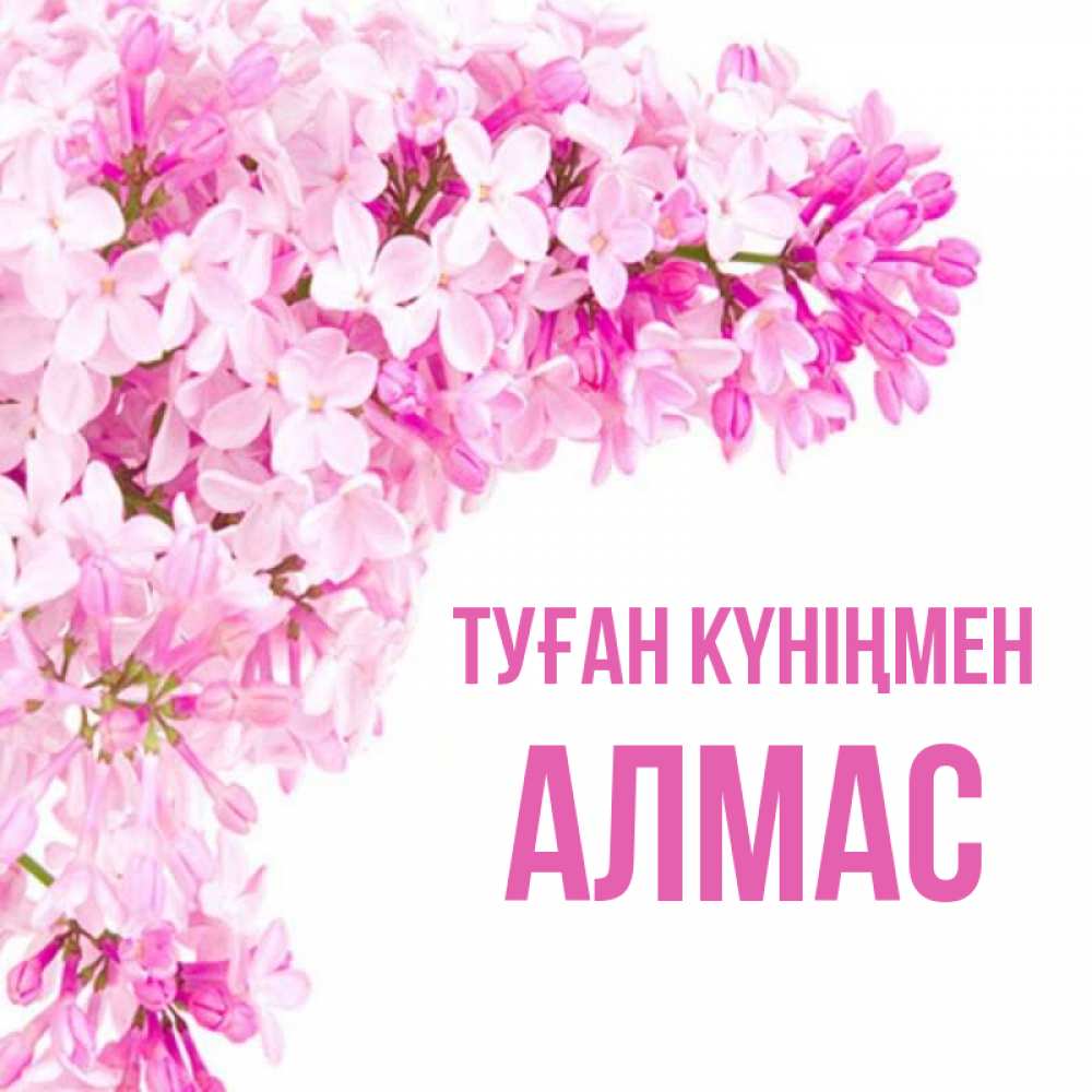 Күн сайын ашық хат с именем, Алмас Туған күніңмен Сирень на белом фоне Онлайн тегін жүктеп алу тілектері бар керемет карта 