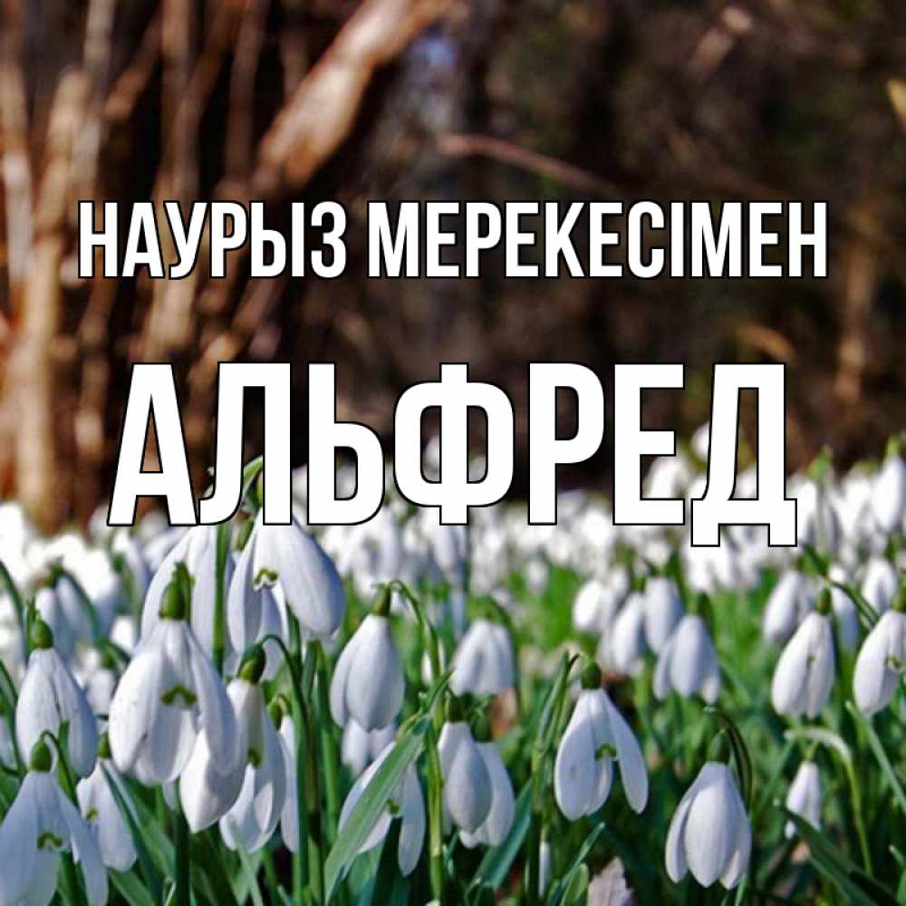 Күн сайын ашық хат с именем, Альфред Наурыз мерекесімен с подснежниками 1 Онлайн тегін жүктеп алу тілектері бар керемет карта 