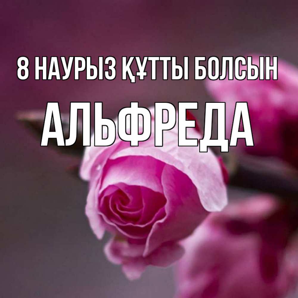 Күн сайын ашық хат с именем, Альфреда 8 наурыз құтты болсын весна Онлайн тегін жүктеп алу тілектері бар керемет карта 