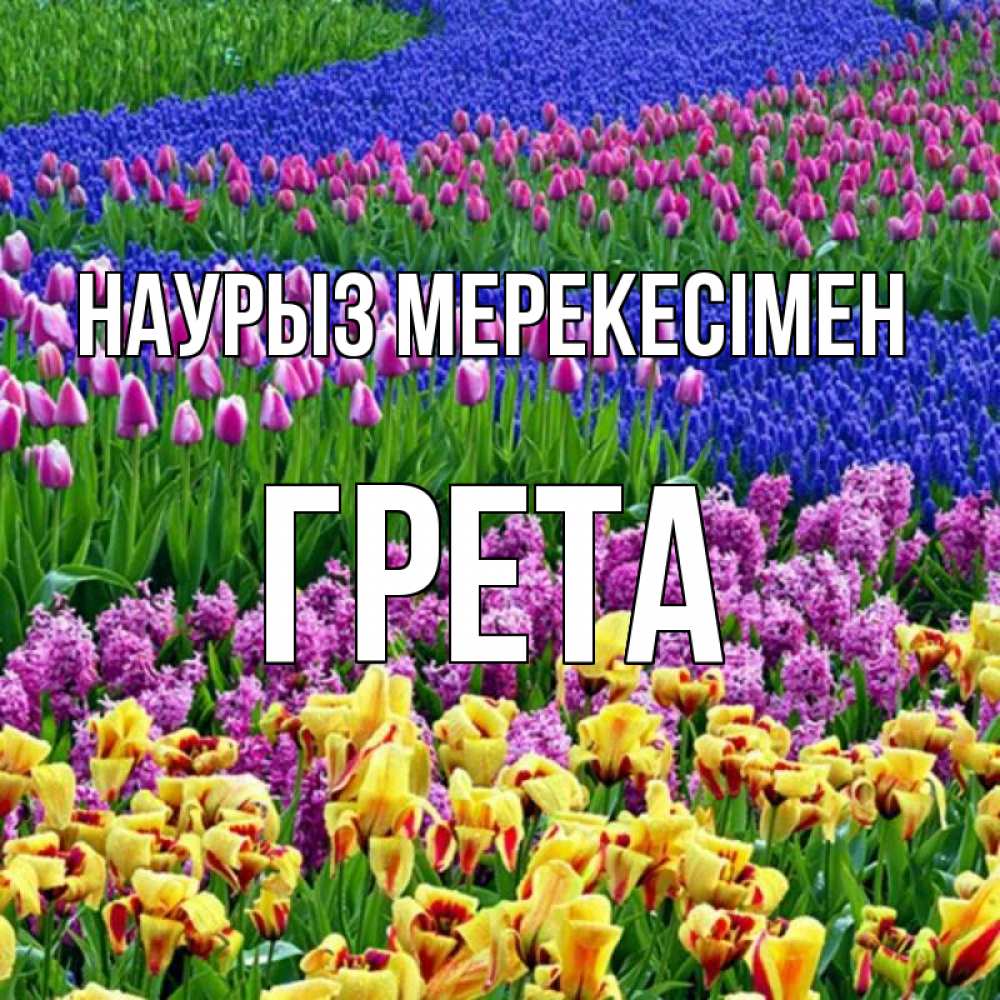 Күн сайын ашық хат с именем, Грета Наурыз мерекесімен цветы Онлайн тегін жүктеп алу тілектері бар керемет карта 