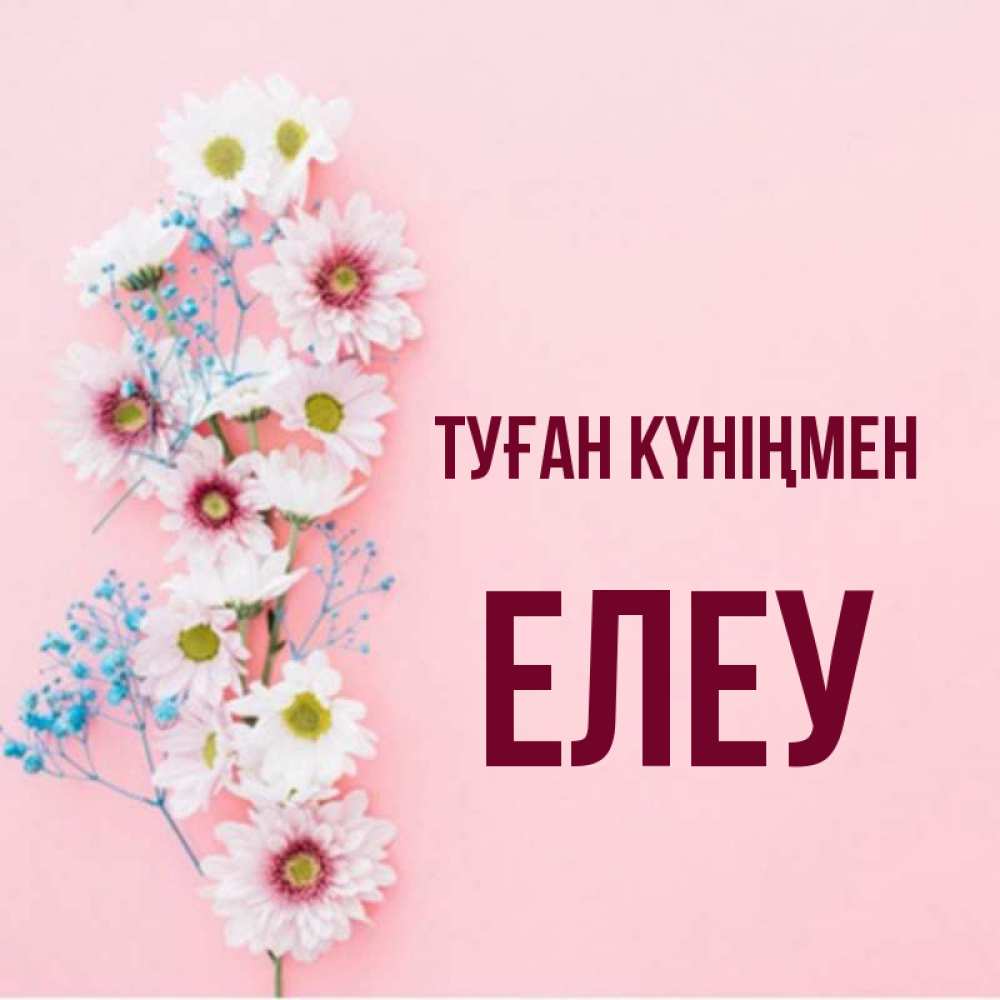 Күн сайын ашық хат с именем, Елеу Туған күніңмен Родная моя с днем рождения тебя картинка с цветами белыми и голубыми Онлайн тегін жүктеп алу тілектері бар керемет карта 