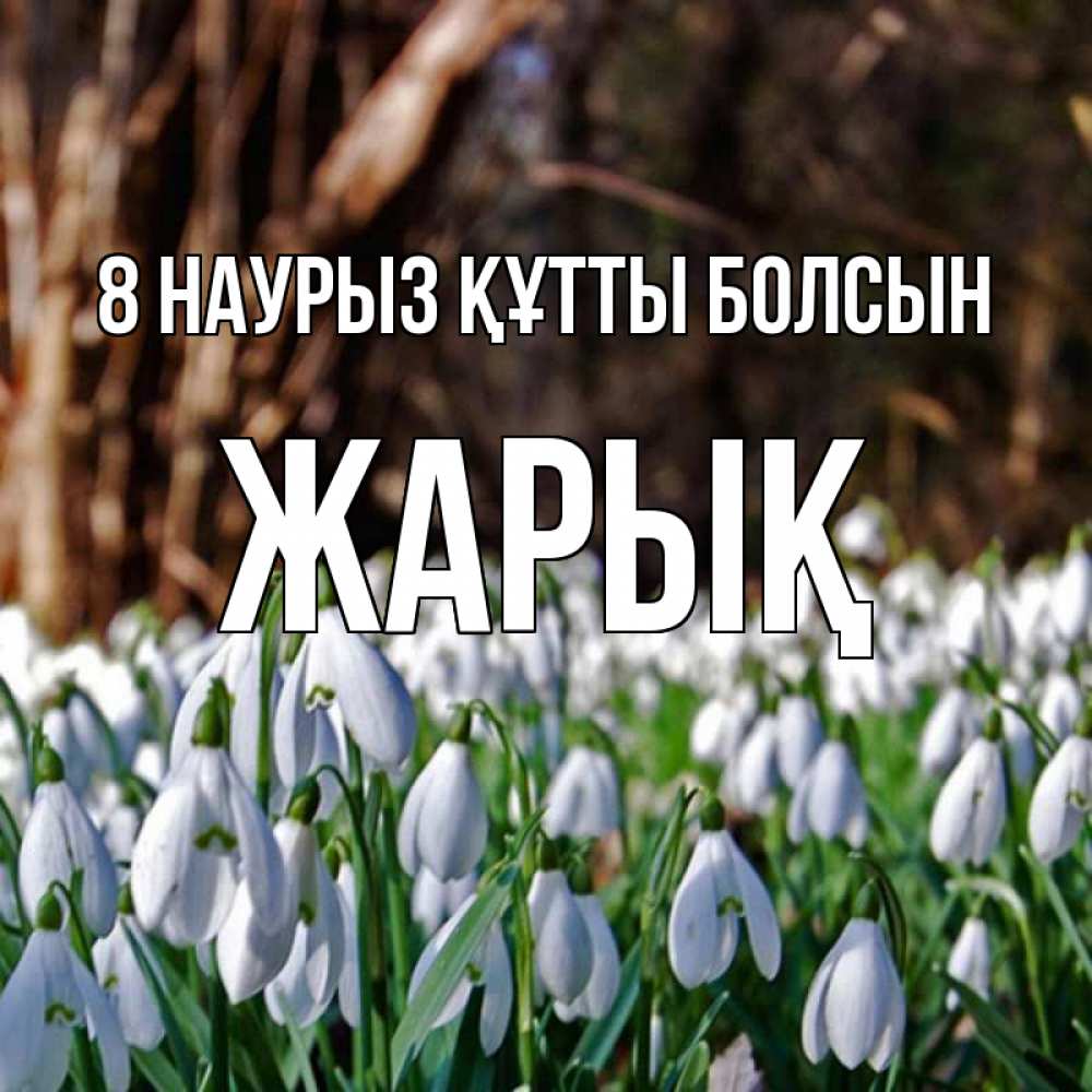 Күн сайын ашық хат с именем, Жарық 8 наурыз құтты болсын с подснежниками 1 Онлайн тегін жүктеп алу тілектері бар керемет карта 