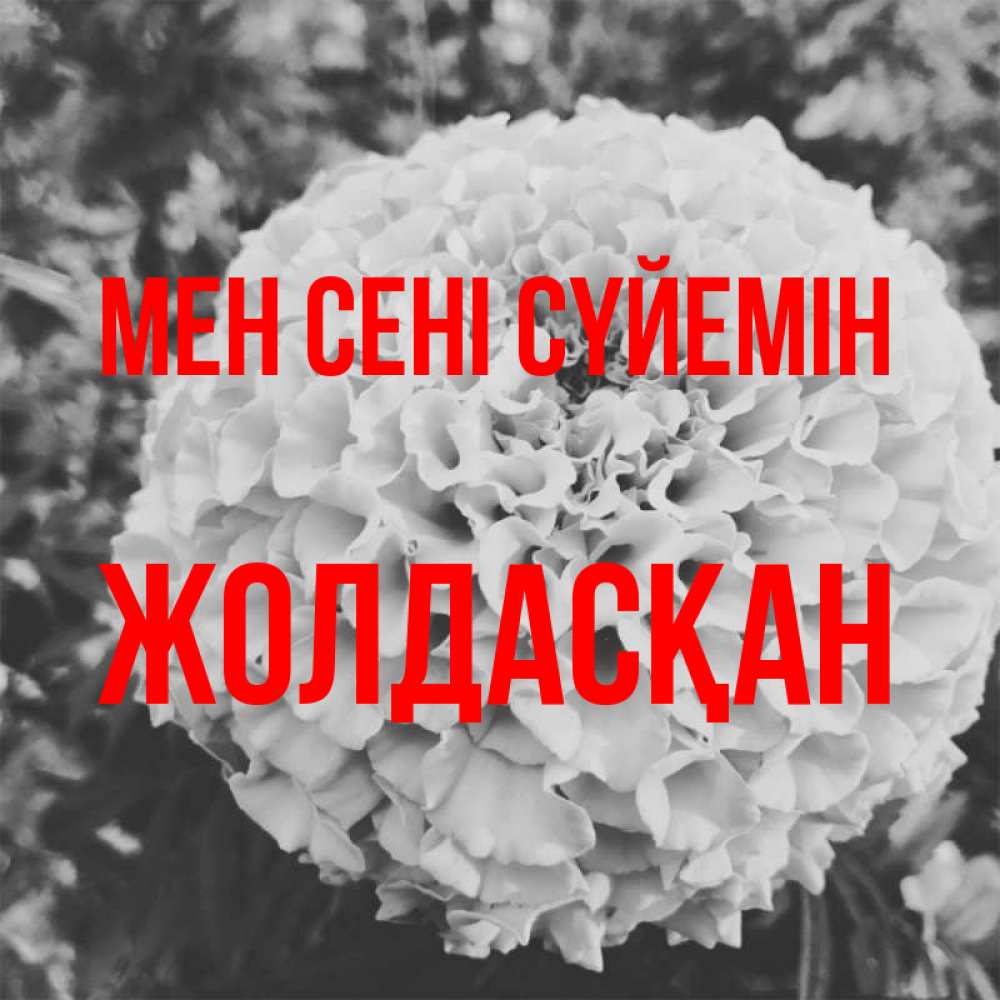 Күн сайын ашық хат с именем, Жолдасқан Мен сені сүйемін подпись Онлайн тегін жүктеп алу тілектері бар керемет карта 