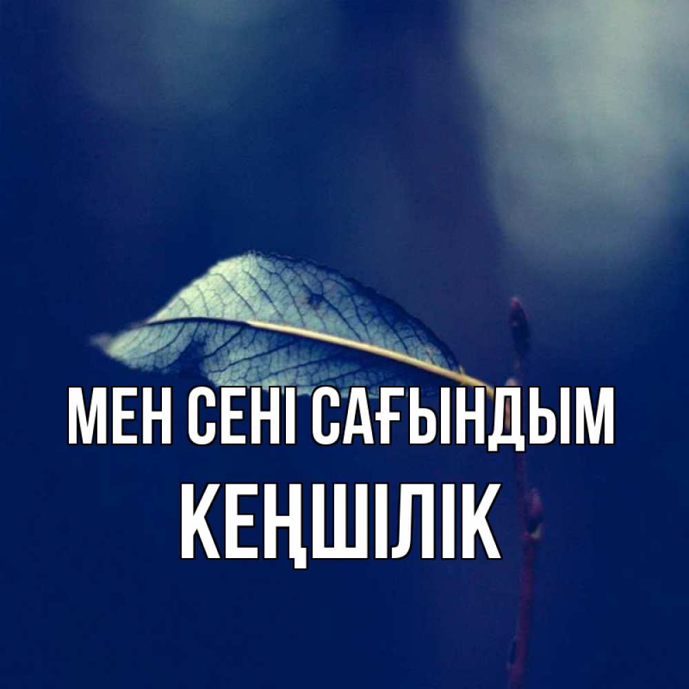 Күн сайын ашық хат с именем, Кеңшілік Мен сені сағындым одна ветка 1 Онлайн тегін жүктеп алу тілектері бар керемет карта 