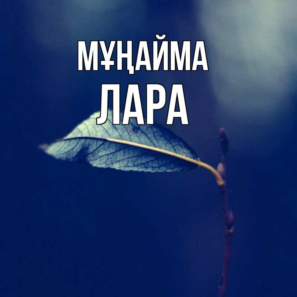 Күн сайын ашық хат с именем, Лара Мұңайма растение Онлайн тегін жүктеп алу тілектері бар керемет карта 