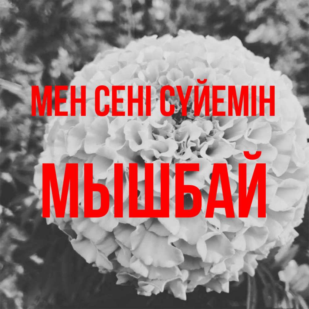 Күн сайын ашық хат с именем, МЫШБАЙ Мен сені сүйемін подпись Онлайн тегін жүктеп алу тілектері бар керемет карта 