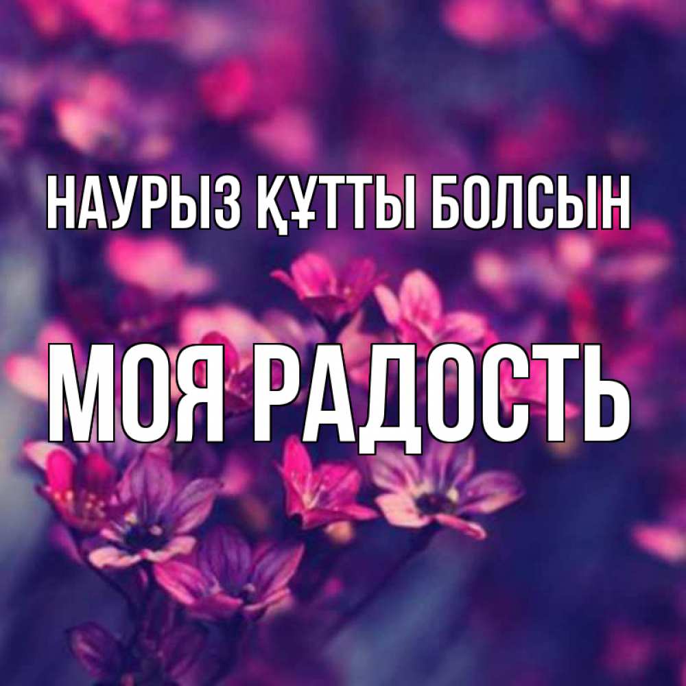 Күн сайын ашық хат с именем, Моя-радость Наурыз құтты болсын небольшие цветы 1 Онлайн тегін жүктеп алу тілектері бар керемет карта 