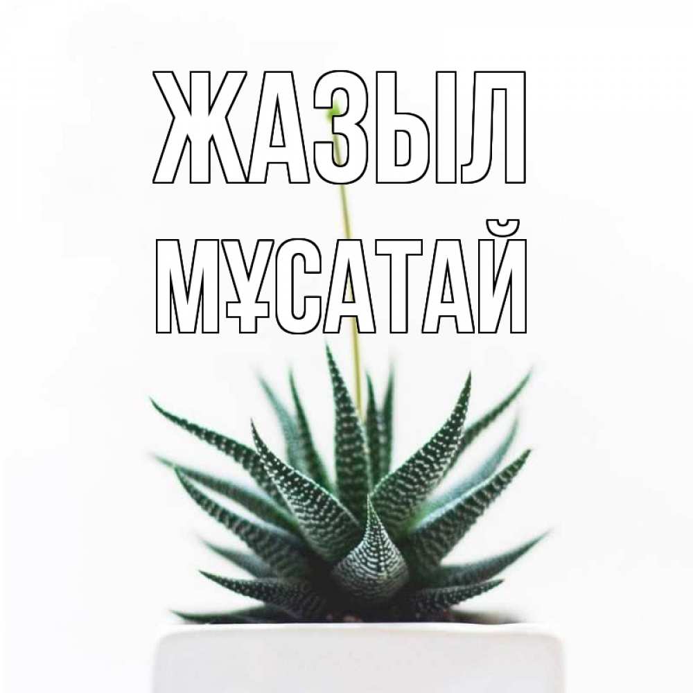 Күн сайын ашық хат с именем, Мұсатай Жазыл короче это непонятная колючка Онлайн тегін жүктеп алу тілектері бар керемет карта 