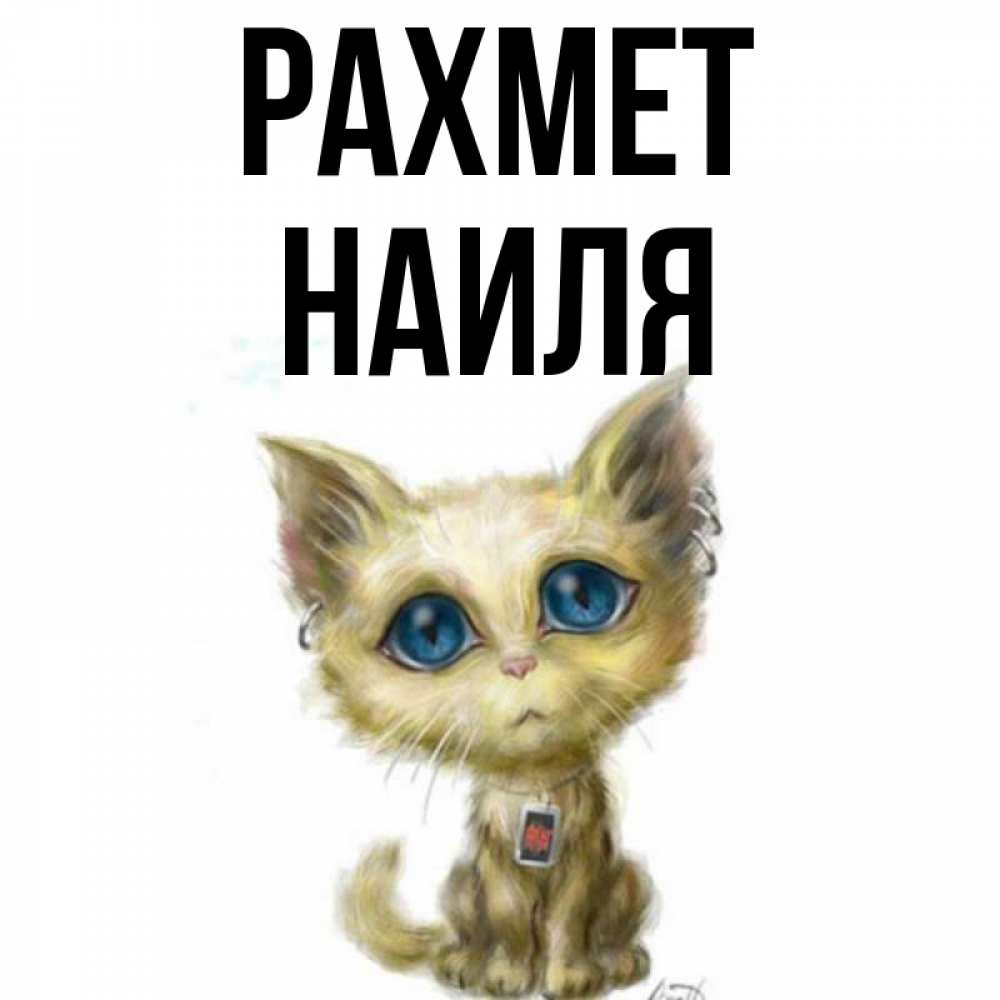 Күн сайын ашық хат с именем, Наиля рахмет рисованный кот благодарит вас Онлайн тегін жүктеп алу тілектері бар керемет карта 
