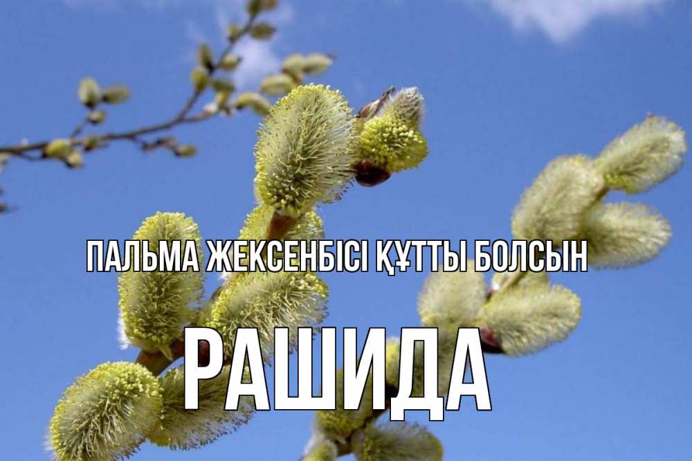 Күн сайын ашық хат с именем, РАШИДА Пальма жексенбісі құтты болсын верба Онлайн тегін жүктеп алу тілектері бар керемет карта 