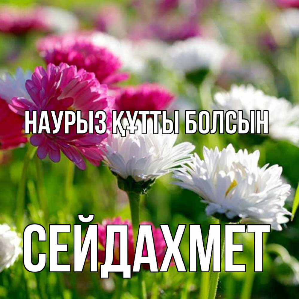 Күн сайын ашық хат с именем, СЕЙДАХМЕТ Наурыз құтты болсын наурыз Онлайн тегін жүктеп алу тілектері бар керемет карта 