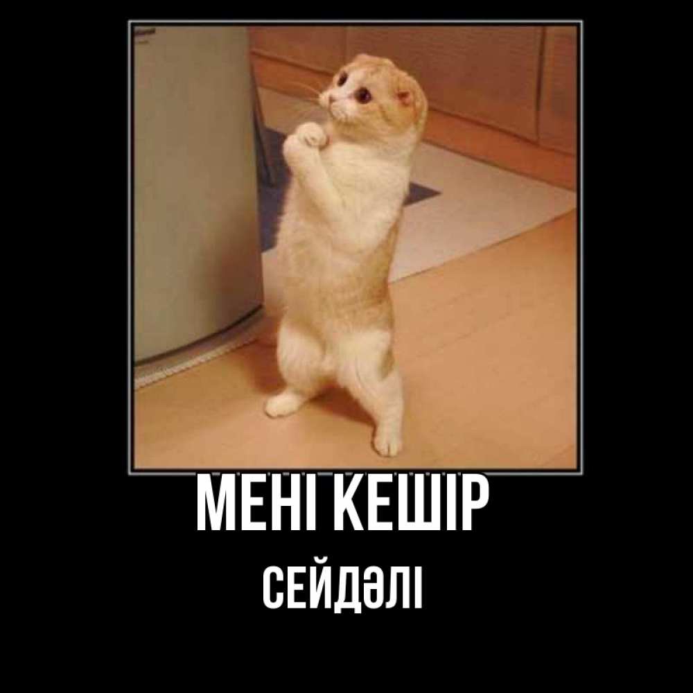 Күн сайын ашық хат с именем, СЕЙДӘЛІ Мені кешір открытка с милым несчастным котиком просящим прощения Онлайн тегін жүктеп алу тілектері бар керемет карта 