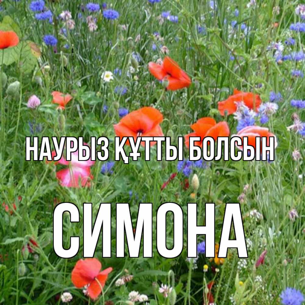 Күн сайын ашық хат с именем, Симона Наурыз құтты болсын наурыз  4 Онлайн тегін жүктеп алу тілектері бар керемет карта 