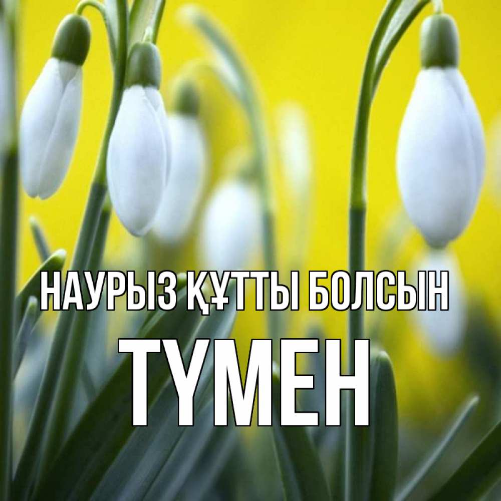Күн сайын ашық хат с именем, ТҮМЕН Наурыз құтты болсын весенние цветы Онлайн тегін жүктеп алу тілектері бар керемет карта 
