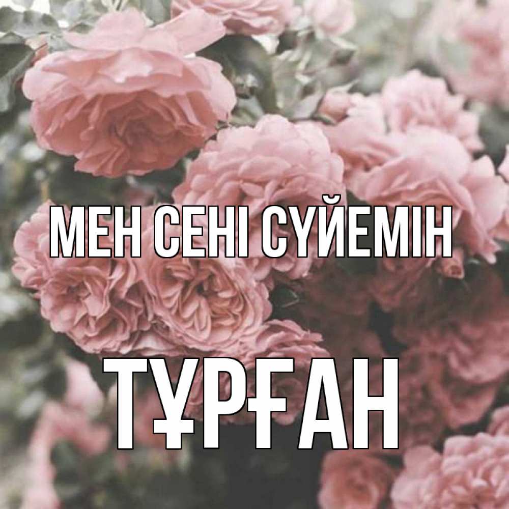 Күн сайын ашық хат с именем, ТҰРҒАН Мен сені сүйемін розы 3 Онлайн тегін жүктеп алу тілектері бар керемет карта 