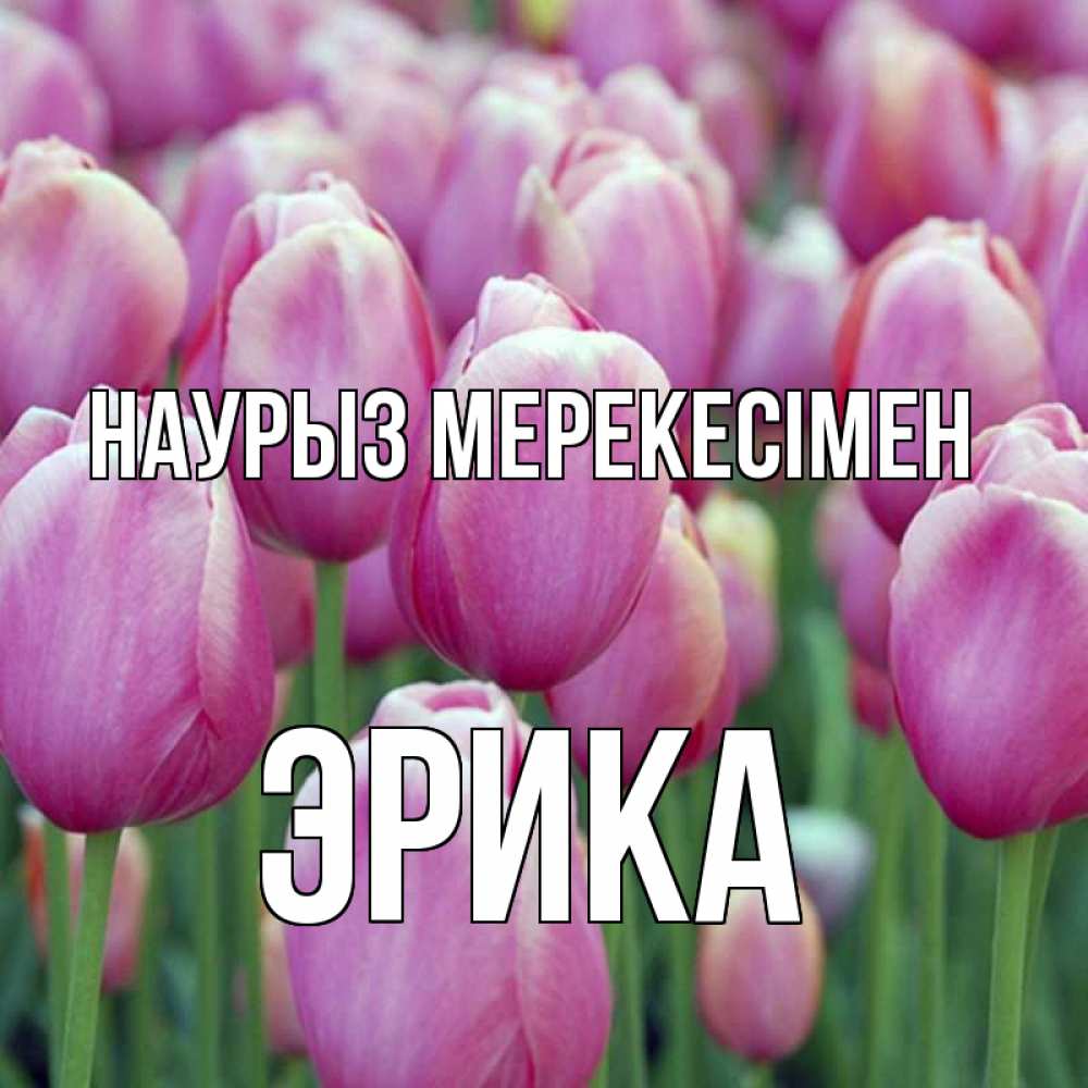 Күн сайын ашық хат с именем, Эрика Наурыз мерекесімен праздник весны наурыз 69 Онлайн тегін жүктеп алу тілектері бар керемет карта 